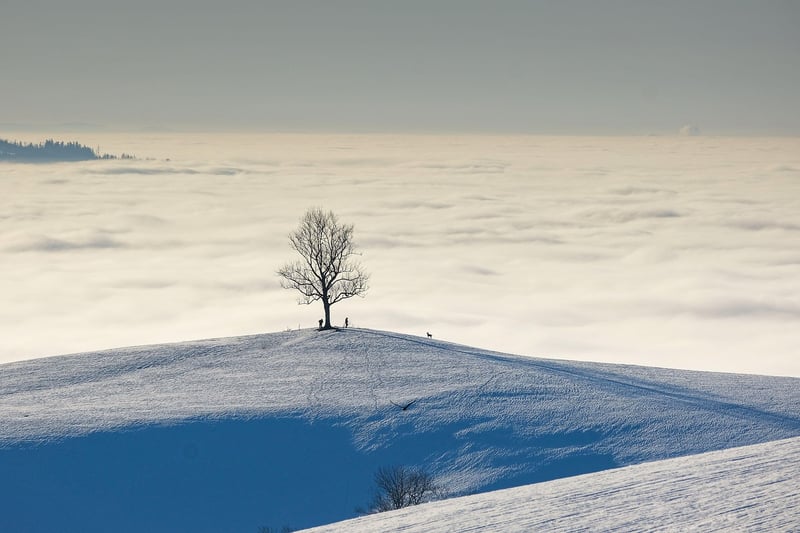 Adventure Travel Image